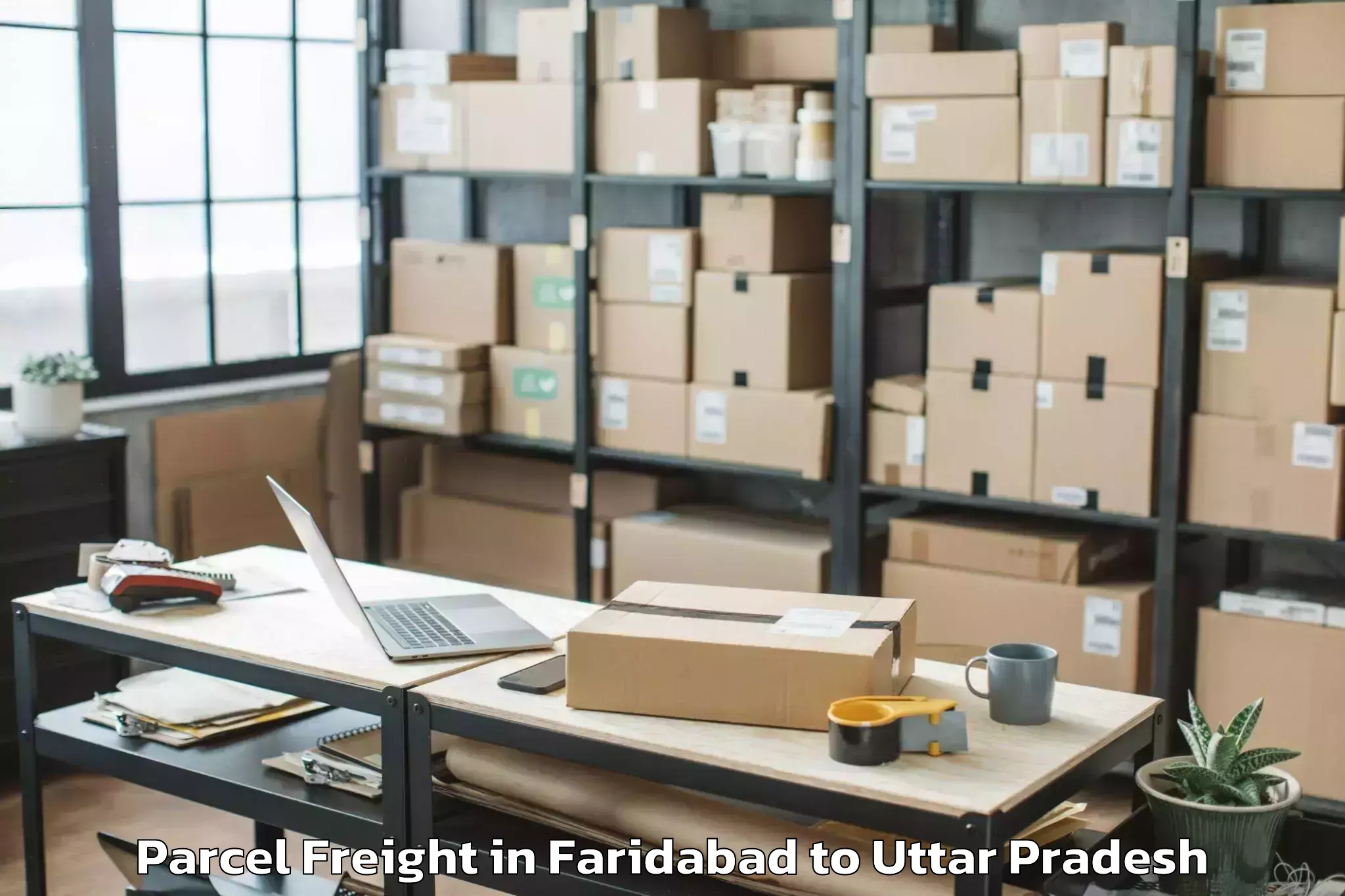 Discover Faridabad to Orai Parcel Freight